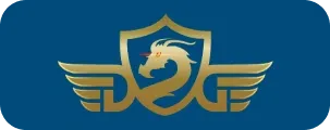 Momo partner logo